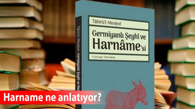 Şeyhî'nin Harnâme adlı eseri hangisinin hangisine özenmesini konu alır?