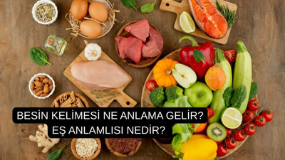 Besin kelimesi ne anlama gelir? Eş anlamlısı nedir?