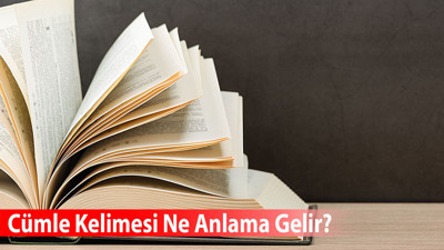 Cümle Kelimesi Ne Anlama Gelir? Eş Anlamlısı Nedir?