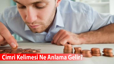 Cimri Kelimesi Ne Anlama Gelir? Eş Anlamlısı Nedir?