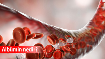 Albümin nedir? Kanda albümin değeri kaç olmalı? Albümin düşüklüğü ne demek, yüksekliğine ne iyi gelir?