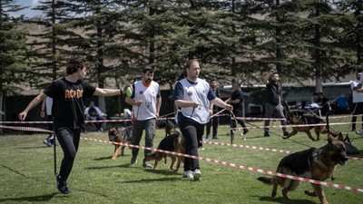 Ankara'da alman çoban köpekleri yarışması düzenlendi