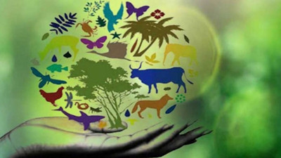 22 Mayıs Dünya Biyolojik Çeşitlilik Günü Nedir? Kutlanma amacı ve önemi nedir?