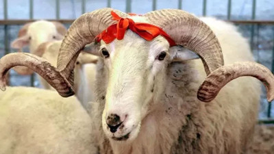 Kurban Bayramı arifesi okullar resmi tatil mi? 5 Haziran okullar tatil mi, yarım gün mü?