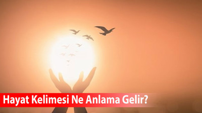 Hayat Kelimesi Ne Anlama Gelir? Eş Anlamlısı Nedir?