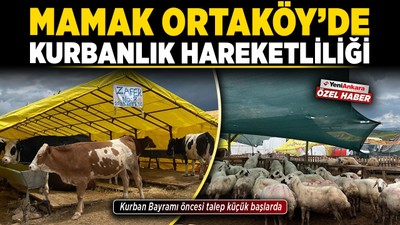 Mamak Ortaköy’de kurbanlık hareketliliği! Kurban Bayramı öncesi talep küçük başlarda