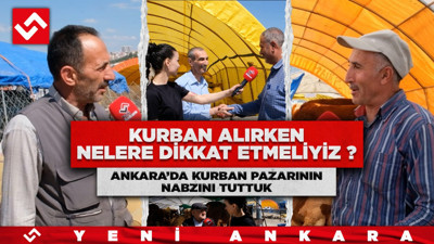 Ankara'da kurban pazarının nabzını tuttuk