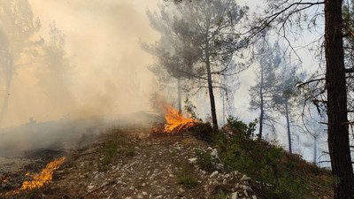 Balıkesir orman yangını! Ekipler müdahale ediyor