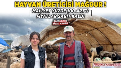 Hayvan üreticisi mağdur! Maliyet yüzde 100 arttı fiyatlar sabit kaldı