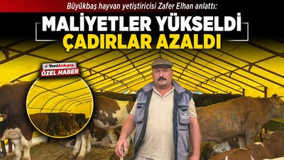 Büyükbaş hayvan yetiştiricisi Zafer Elhan anlattı: Maliyetler yükseldi, çadırlar azaldı