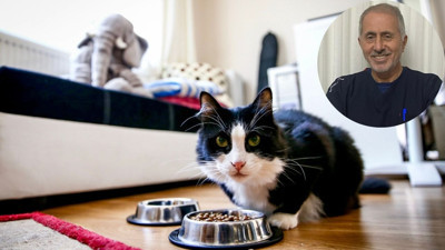 Veteriner Hekim Prof. Dr. Dodurka'dan bayramda evcil hayvanını yalnız bırakacaklara uyarı!