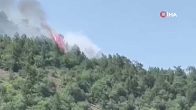 Ankara Soğuksu Milli Parkı’nda korkutan yangın