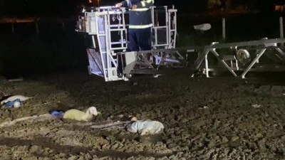 Amasya'da mahsur kalan koyunu itfaiye ekipleri kurtardı