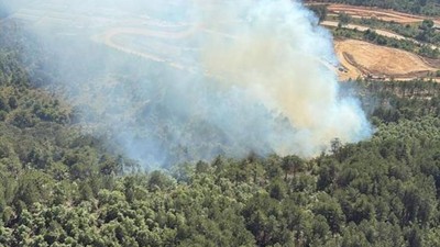 Balıkesir'de orman yangını