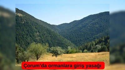 Çorum'da ormanlara giriş yasağı getirildi