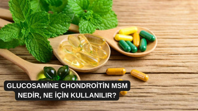 Glucosamine Chondroitin Msm nedir, ne için kullanılır?
