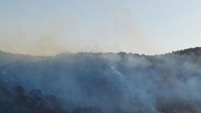 Hatay'da orman yangını! Havadan ve karadan müdahale sürüyor