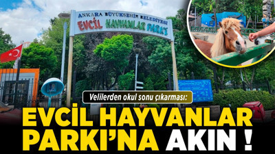 Velilerden okul sonu çıkarması: Evcil Hayvanlar Parkı’na akın!