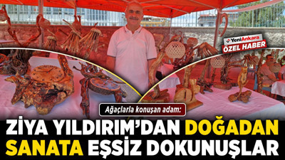 Ağaçlarla konuşan adam: Ziya Yıldırım’dan doğadan sanata eşsiz dokunuşlar