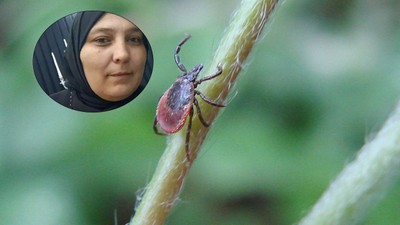 Kene can almaya devam ediyor!