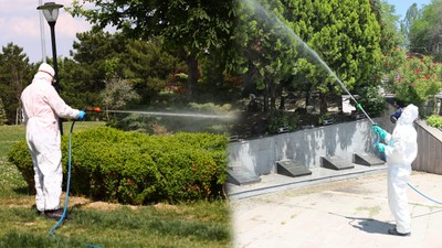 Ankara genelinde ilaçlama seferberliği: ilçe belediyeleri çalışmalarına hız verdi