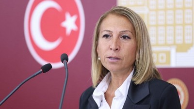 CHP'li Derici "zeytinliklerin kanun yoluyla köylünün elinden alınmaya çalışıldığını" ileri sürdü