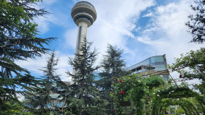 Ankara'da kene paniği: Park ve bahçeler boş kaldı!