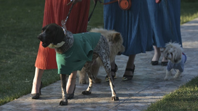 Engelli Patiler Podyumda: Ankara'da Farkındalık Defilesi