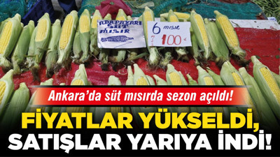 Ankara’da süt mısırda sezon açıldı! Fiyatlar yükseldi, satışlar yarıya indi!
