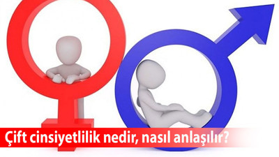 Çift cinsiyetlilik nedir, nasıl anlaşılır, Çift cinsiyetli birinin çocuğu olur mu?