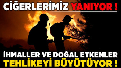 Ciğerlerimiz yanıyor! İhmaller ve doğal etkenler tehlikeyi büyütüyor!