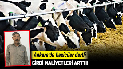 Ankara'da besiciler dertli: Girdi maliyetleri arttı!