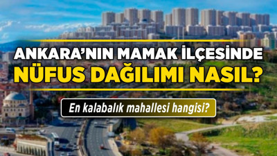 Ankara'nın Mamak ilçesinde nüfus dağılımı nasıl? En kalabalık mahallesi hangisi?
