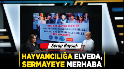 Serap Baysal: "Hayvancılığa elveda, sermayeye merhaba"