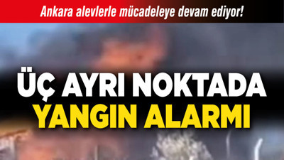 Ankara alevlerle mücadeleye devam ediyor! Üç ayrı noktada yangın alarmı