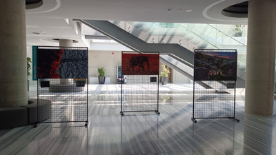 İstanbul Photo Awards 2025, dünyadan kareleri Ankara'da buluşturuyor