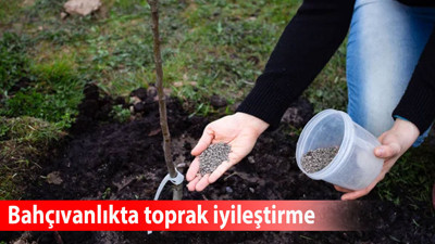 Bahçıvanlıkta tarım perliti toprak iyileştirme ve bitki sağlığı