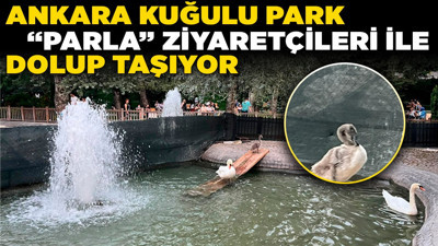 Ankara Kuğulu Park “Parla” ziyaretçileri ile dolup taşıyor! Bir aylık değişim şaşırttı