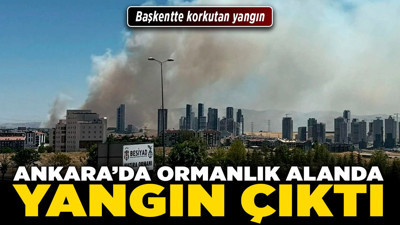 Ankara’da ormanlık alanda yangın çıktı