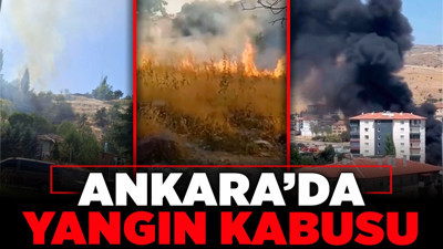 Ankara'da yangın kabusu: Her gün yeni bir nokta yanıyor