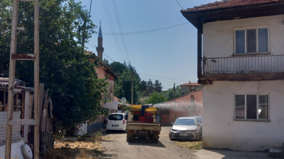 Ankara’da belediyelerden haşere ile mücadele seferberliği