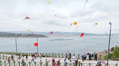 Çekerek Lavanta Adasında “Uçurtma Şenliği” gökyüzünü renk cümbüşüne boyadı
