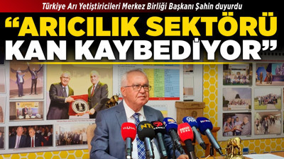 Türkiye Arı Yetiştiricileri Merkez Birliği Başkanı Şahin duyurdu! "Arıcılık sektörü kan kaybediyor"