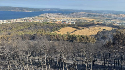 Çanakkale'deki yangında 200 yıllık ev ve anılar yok oldu