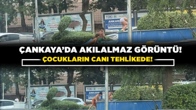 Çankaya’da akılalmaz görüntü! Çocukların canı tehlikede!