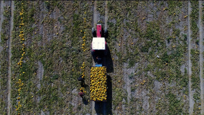 Bu ürünlerin en iyisi Ankara'da üretiliyor! İşte Ankara'nın öne çıkan lezzetleri
