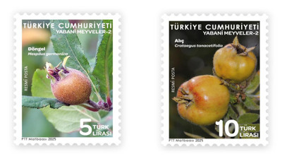 PTT yeni posta pulunu tedavüle sundu