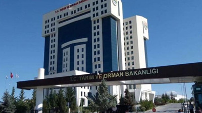 Tarım ve Orman Bakanlığından yangın mağduru hayvanlar için ilk yardım rehberi