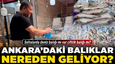 Ankara’daki balıklar nereden geliyor? Sofralarda deniz balığı mı var çiftlik balığı mı?