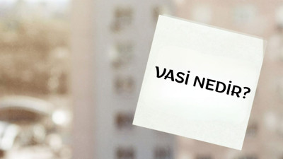 Hukuk sisteminde vasi kavramı: sorumluluklar ve yasal yüreç